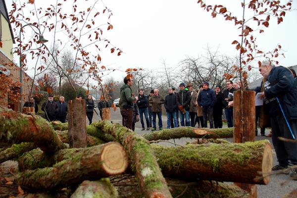 Die Bemühungen um das Wohlbefinden der Pferde auf der Robbesscheier wurden belohnt