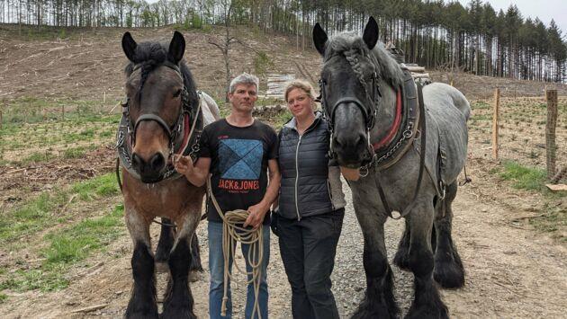 Le retour du débardage à cheval