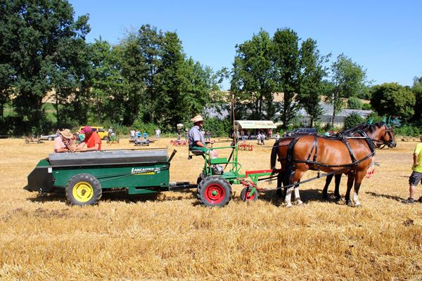 White Horse - Model 607: Vorstellung des pferdegezogenen Basisvorderwagens