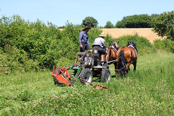 Vorderwagentag in Obererdingen