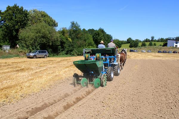 Vorderwagentag in Obererdingen