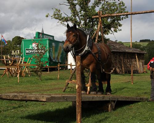 Le cheval de travail - Travail du cheval