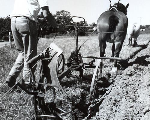 Évolution et dispositifs modernes