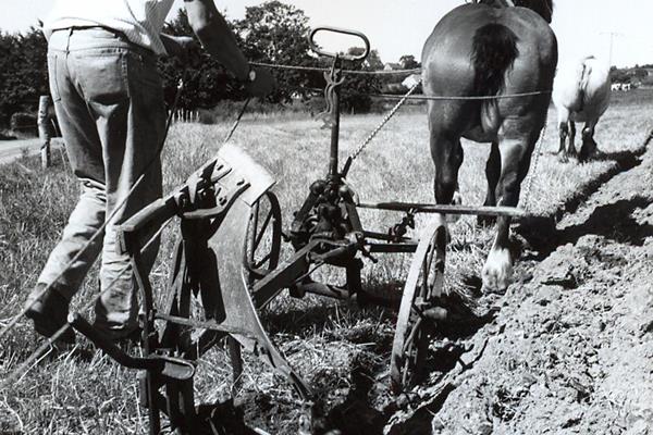 Trois chevaux à front: labourer