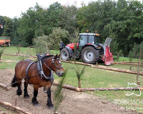 Rendement au travail - Travail du cheval