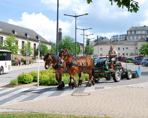 Gemeindedienste - Arbeiten mit Pferd