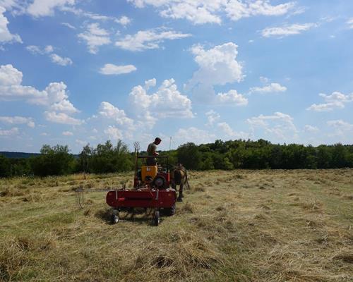 Landwirtschaft - Arbeiten mit Pferd