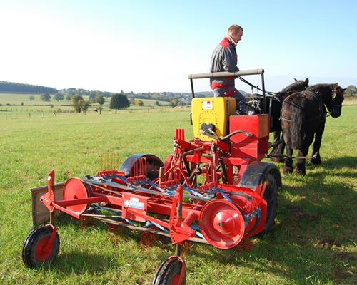 Landwirtschaft - Arbeiten mit Pferd