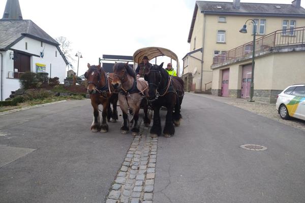 Kutsche im Dreispänner ziehen (Test)