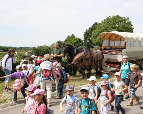 Tourisme - Travail du cheval