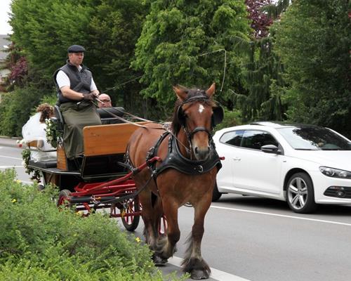 Tourismus - Arbeiten mit Pferd