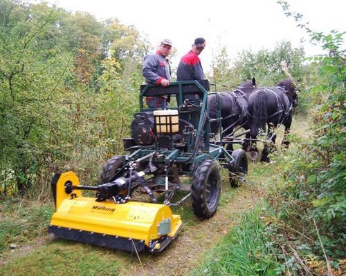 Services communaux - Travail du cheval